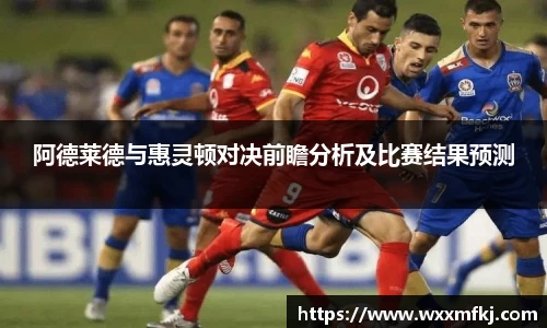 阿德莱德与惠灵顿对决前瞻分析及比赛结果预测
